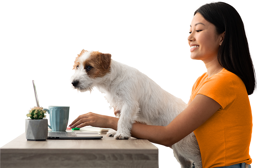 5 Things Every Dog Trainer is Doing Wrong with Their Website